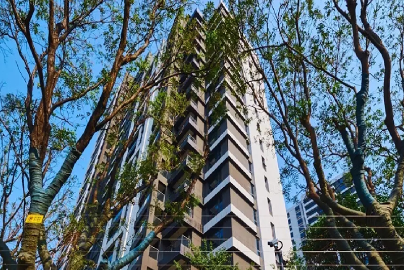 东润泰和